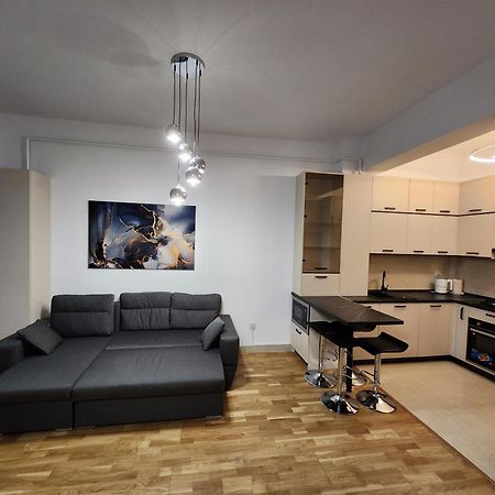 Near Airport 2 Rooms Apartments In Himson Яссы Экстерьер фото